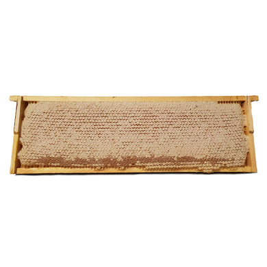 HONEY COMB IN FRAME 45CM