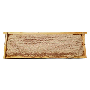 HONEY COMB IN FRAME 45CM