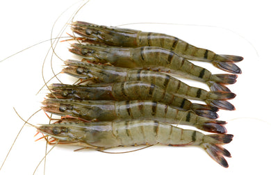 SHRIMPS 6/8  HEAD ON - SHELL ON 800G NET WEIGHT
