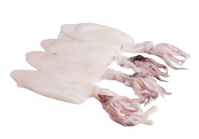 CALAMARES DE PATAGONIE /KG