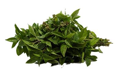 BASIL 150GR