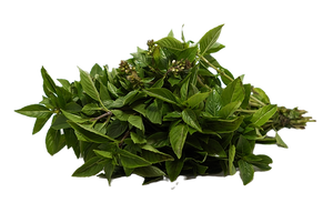 BASIL 150GR