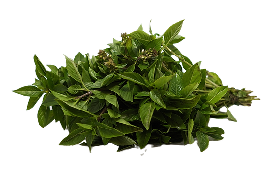 BASIL 150GR