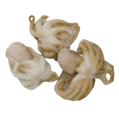BABY OCTOPUS 40/60 800GR