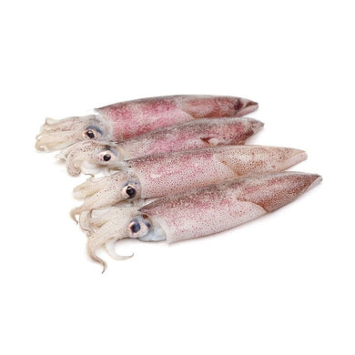PATAGONIAN SQUID 800GR FRZ