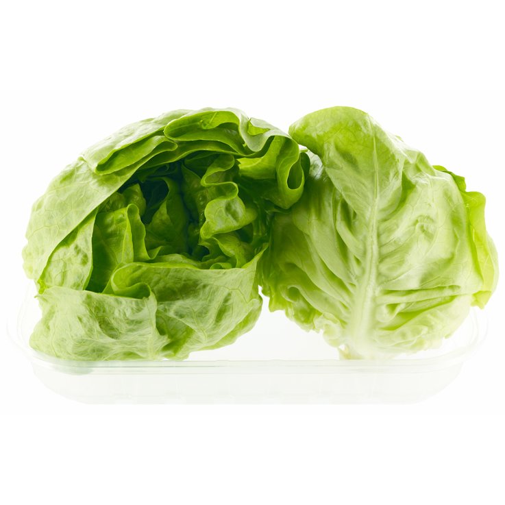 LETTUCE ROMAINE PACK 2 PCE