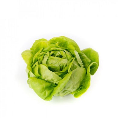VAL D'ENDORRE LETTUCE REX