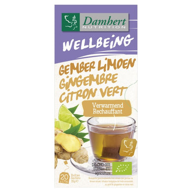DH WELLBEIN TEA GINGER LIME BIO 35GR
