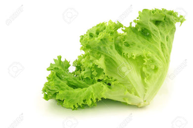 LETTUCE LOOSE LEAF GREEN /KG