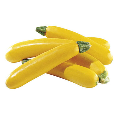 ZUCCHINI YELLOW / KG