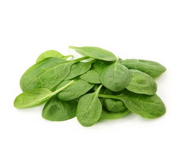 BABY LETTUCE SPINACH PUNNET 125G