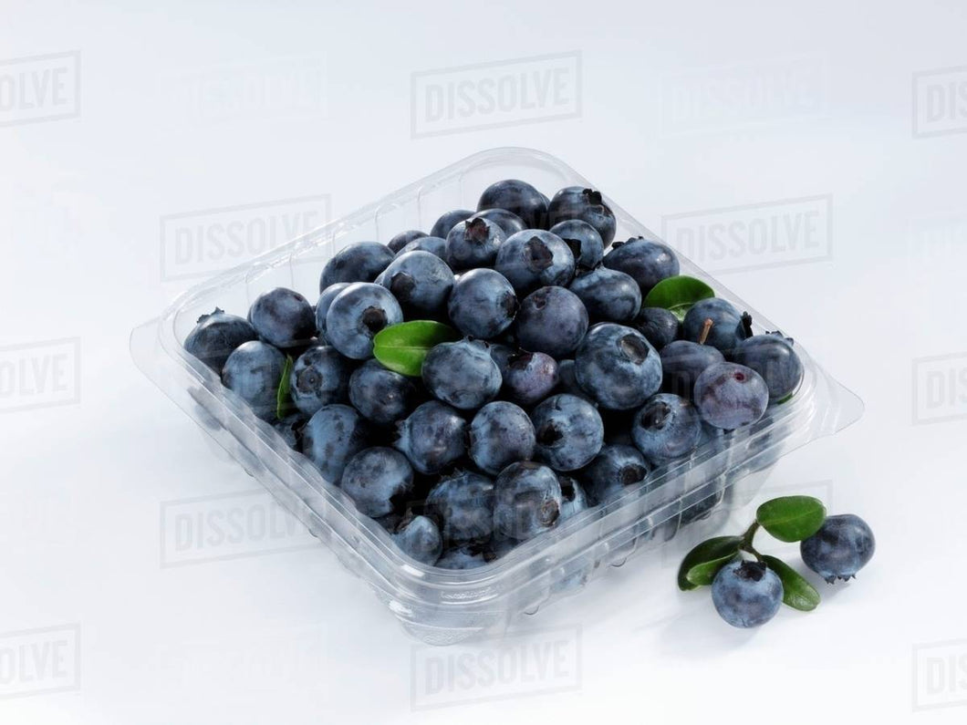 BLUEBERRY PUNNET 125GR