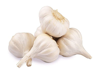 GARLIC WHITE /KG