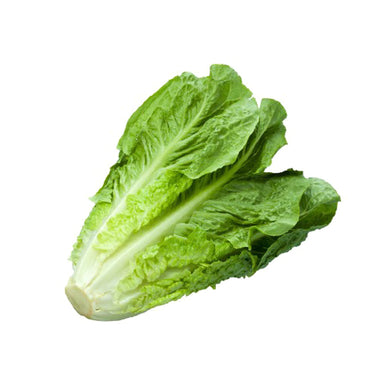 GREEN LETTUCE LOCAL PCE